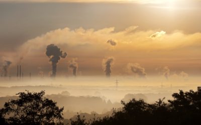 Stop Smog! Terapia antysmogowa dla skóry